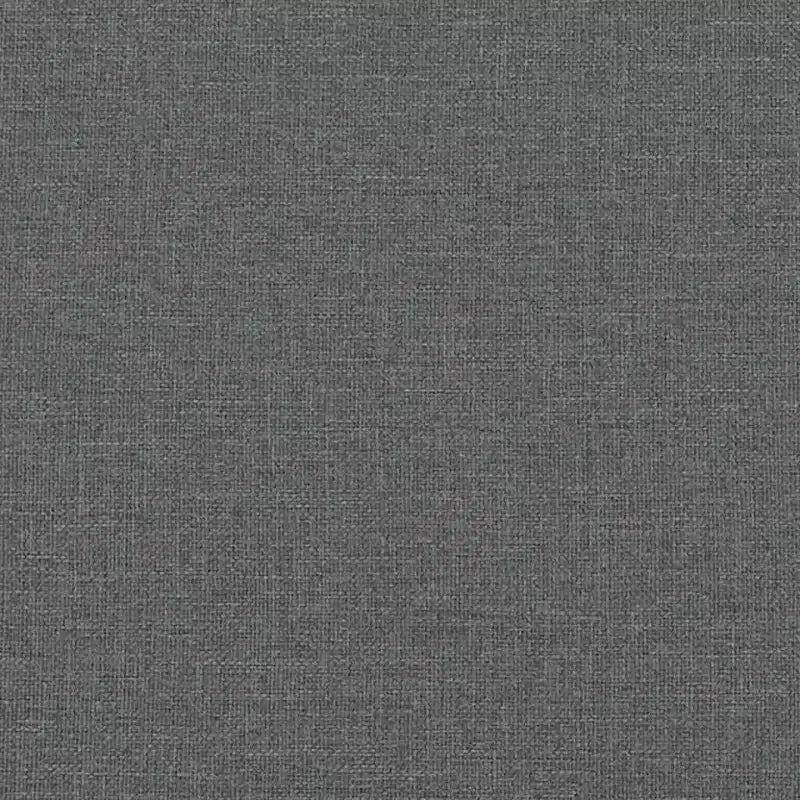 Dark Grey Polyester 2-Seater Sofa Bed – Convertible, Compact Living