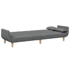 Dark Grey Polyester 2-Seater Sofa Bed – Convertible, Compact Living
