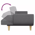 Dark Grey Polyester 2-Seater Sofa Bed – Convertible, Compact Living