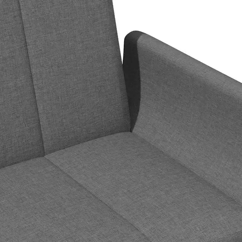 Dark Grey Polyester 2-Seater Sofa Bed – Convertible, Compact Living