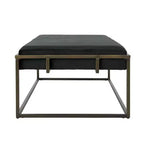 Banc de rangement ottoman en velours avec pieds en finition laiton – Noir